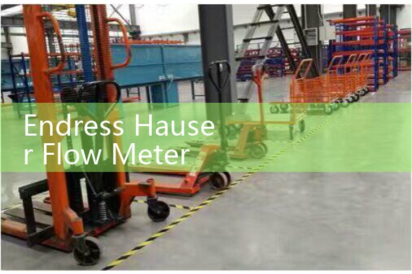 Endress Hauser Flow Meter Manual PDF Archive: Instant Download for Legacy and New Models